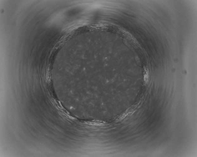 X0000084580819200702231253