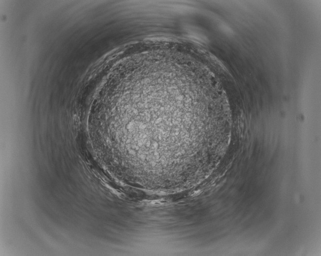 X0000084580821200702231253