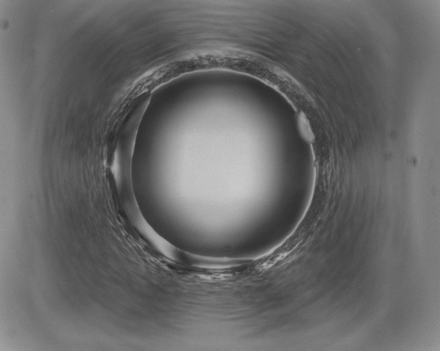 X0000084580822200702231253