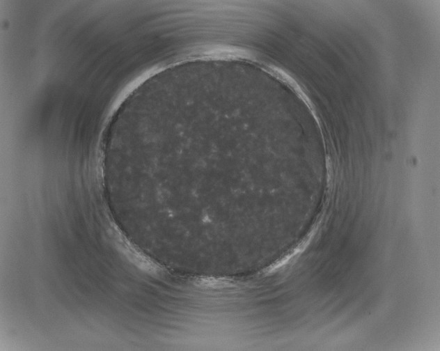 X0000084580835200702231253
