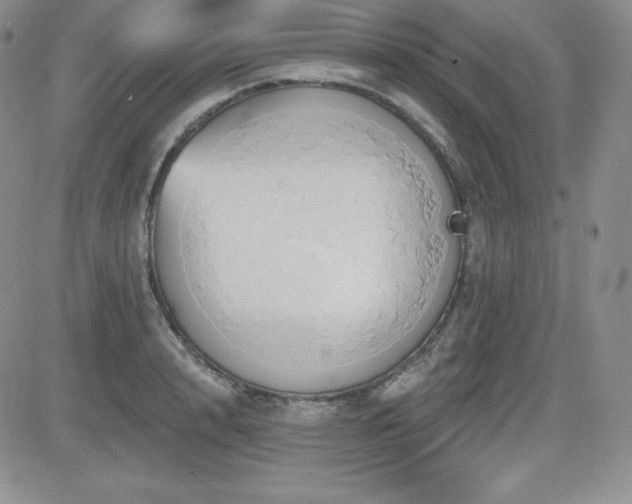 X0000084580848200702231253