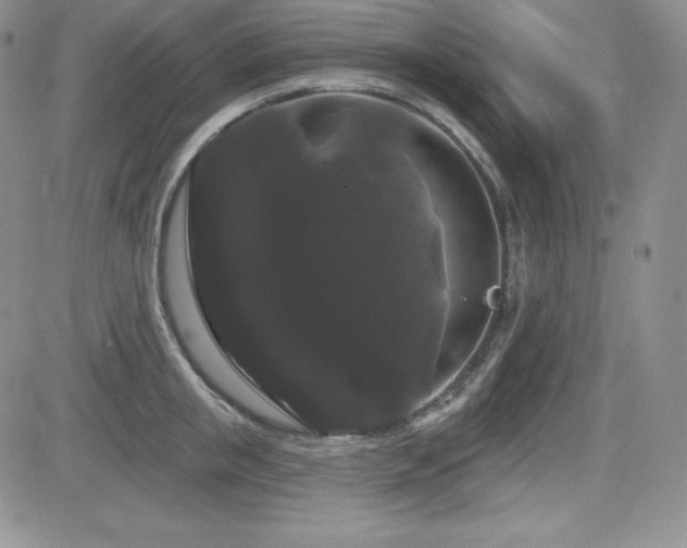 X0000084580853200702231253