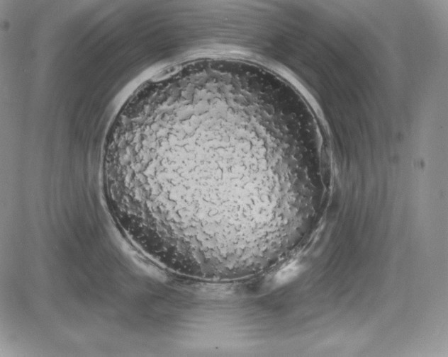 X0000084580861200702231253