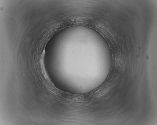 X0000084580865200702231253