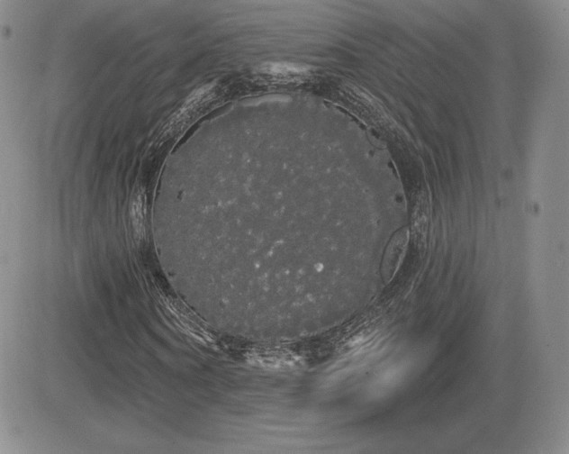 X0000084580866200702231253