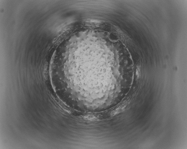 X0000084580867200702231253