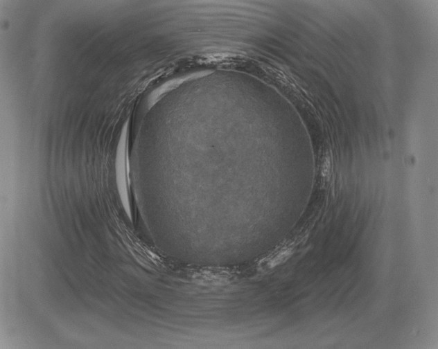 X0000084580868200702231253