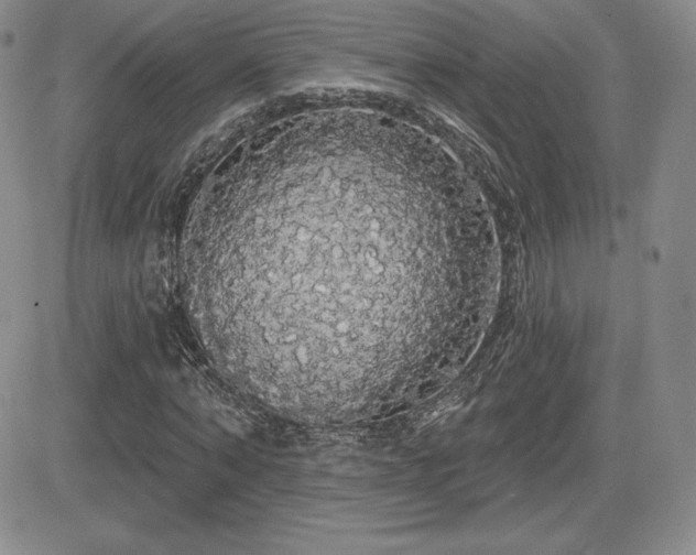 X0000084580870200702231253