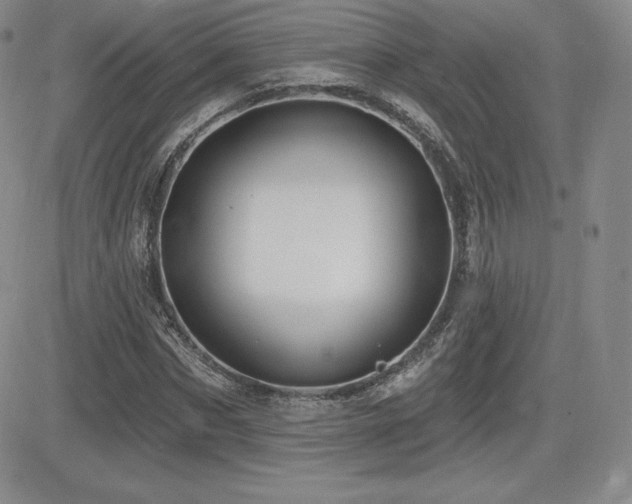 X0000084580873200702231253