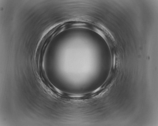 X0000084580876200702231253