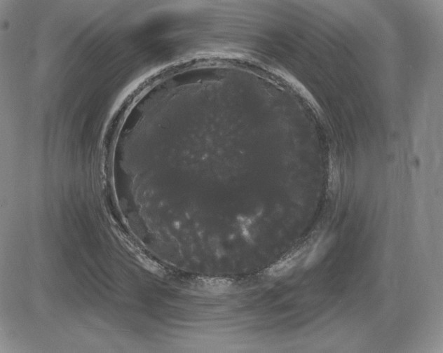X0000084580878200702231253