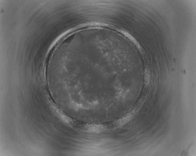 X0000084580886200702231252