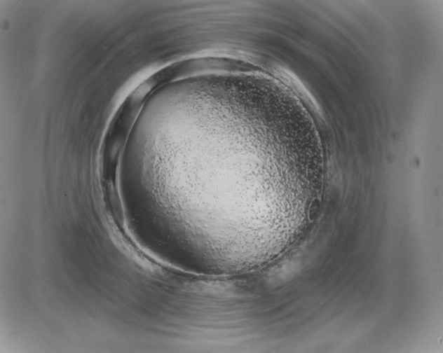 X0000084580900200702231252