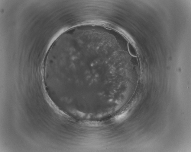 X0000084580907200702231252