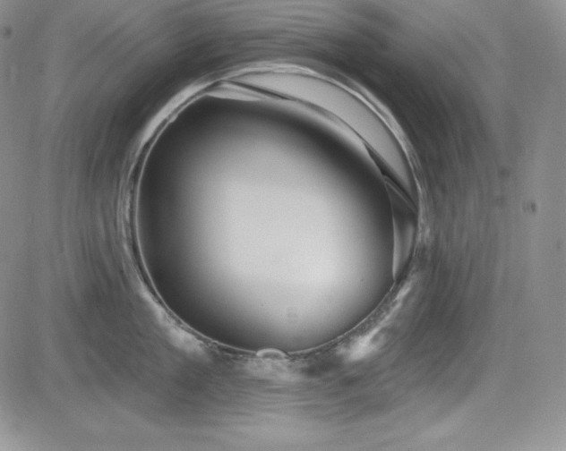 X0000084580909200702231252