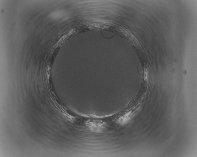 X0000084580915200702231251