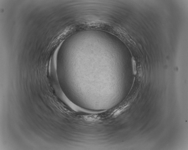 X0000084580916200702231251