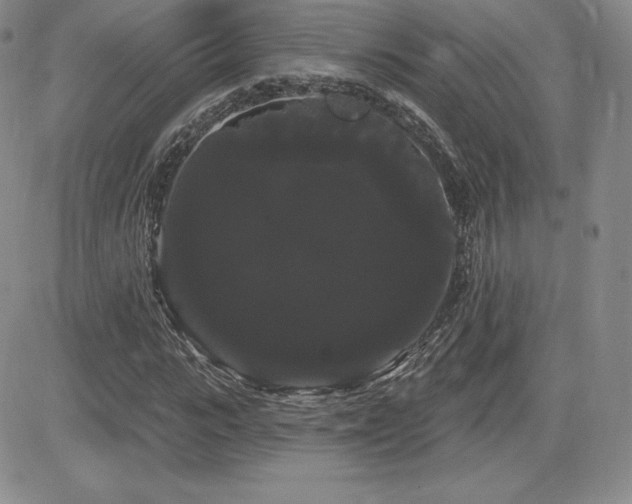 X0000084580919200702231251