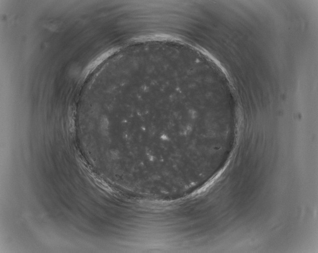 X0000084580921200702231251