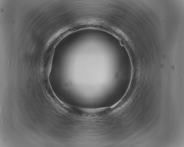 X0000084580922200702231251