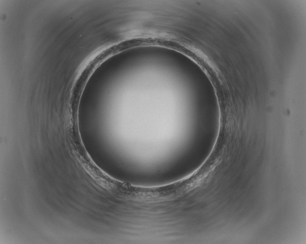 X0000084580927200702231251