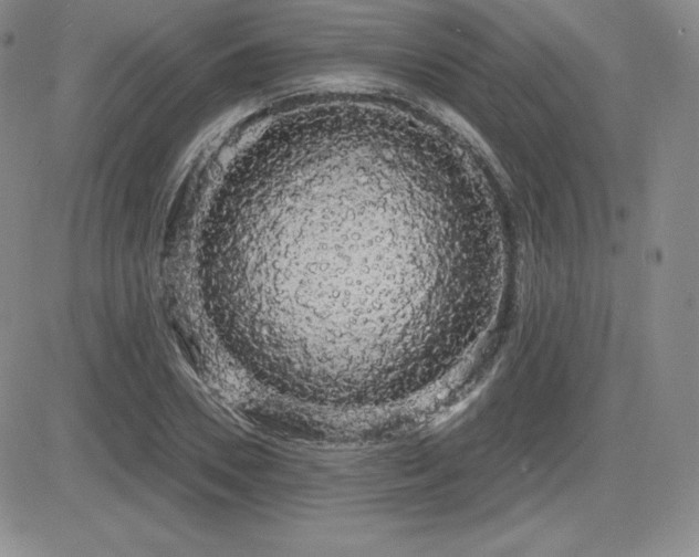 X0000084580930200702231251