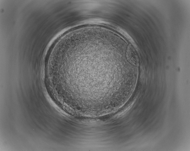 X0000084580939200702231252
