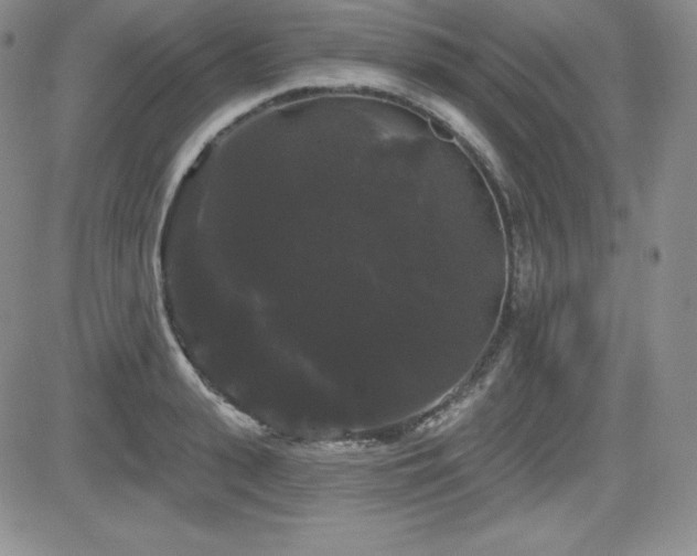 X0000084580943200702231252