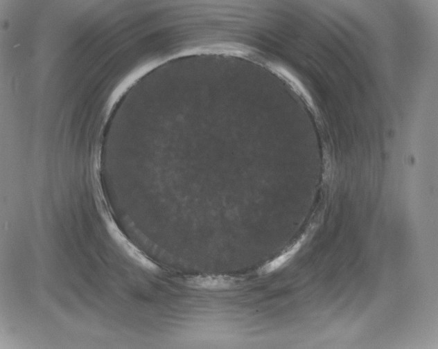 X0000084580952200702231252