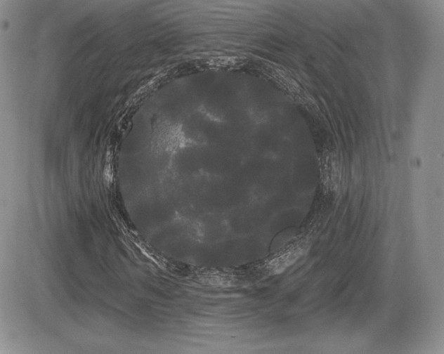 X0000084580962200702231251