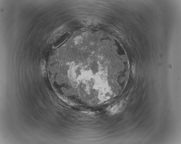 X0000084580963200702231251