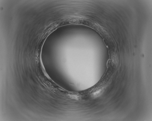X0000084580964200702231251