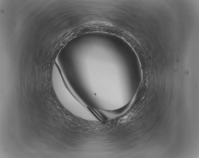 X0000084580965200702231251