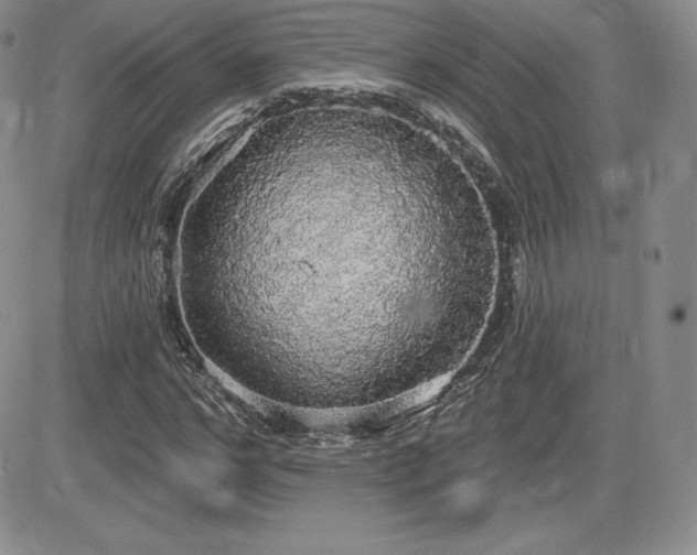 X0000084580968200702231251