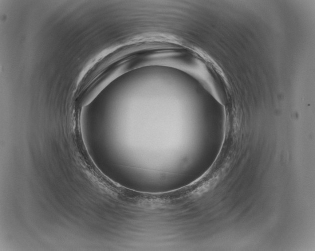 X0000084580973200702231251