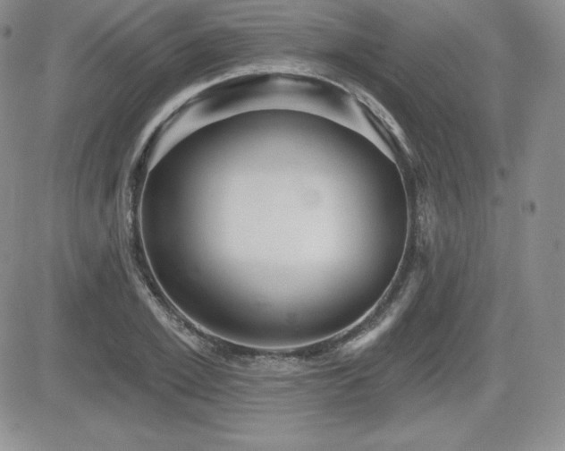 X0000084580981200702231251