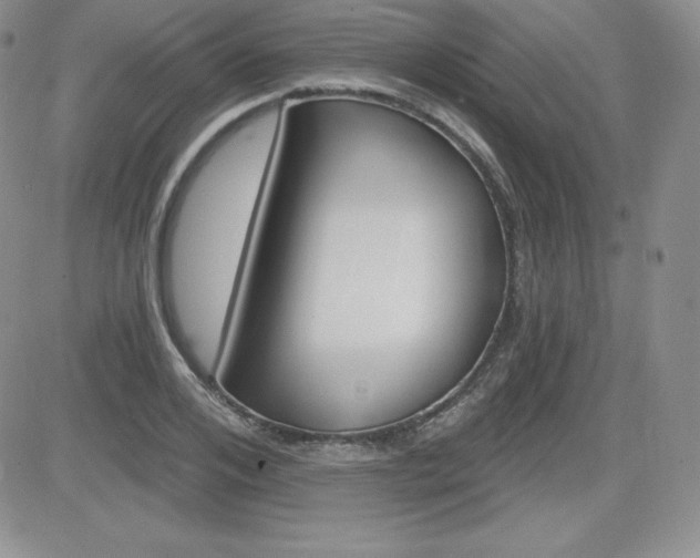 X0000084580984200702231251