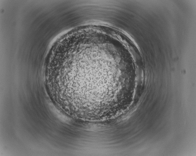 X0000084580987200702231251