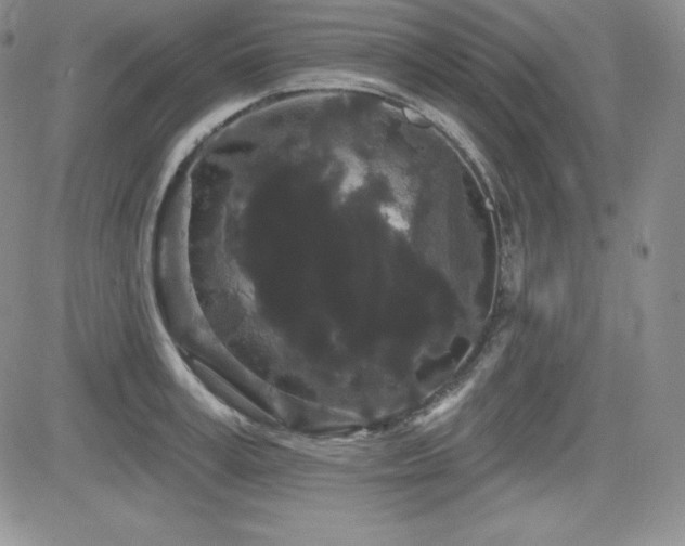X0000084580995200702231251