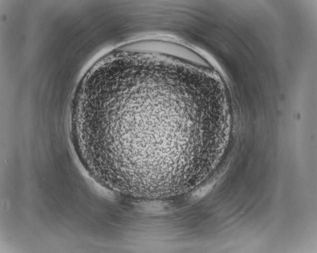 X0000084580999200702231251