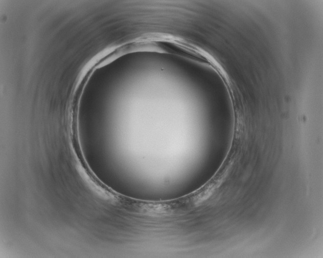 X0000084581003200702231250