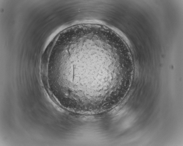 X0000084581006200702231250