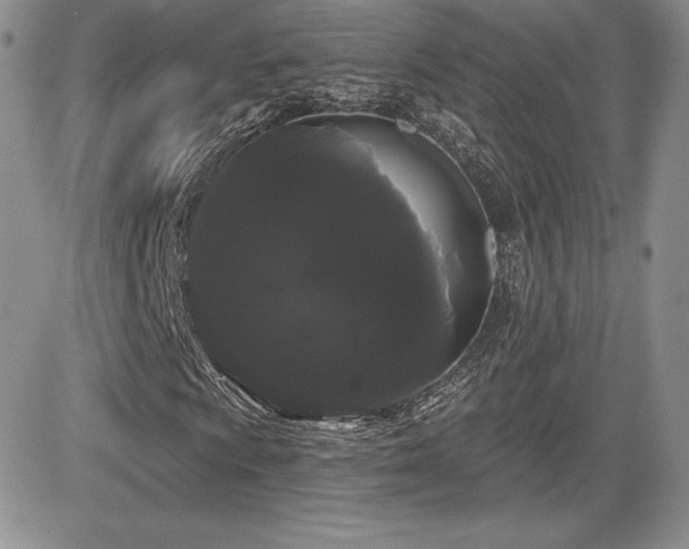 X0000084581009200702231250