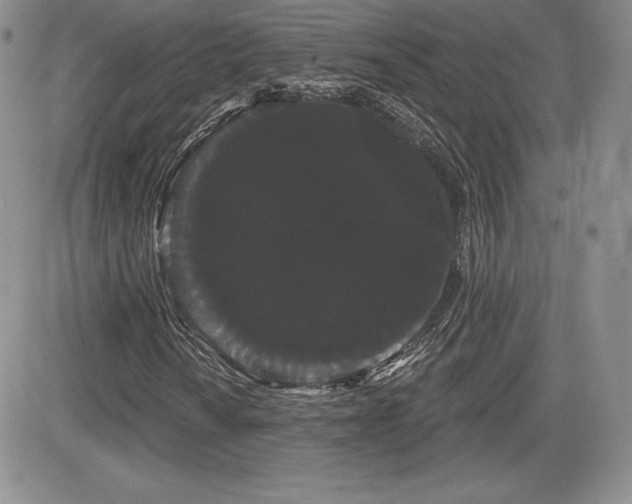 X0000084581010200702231250