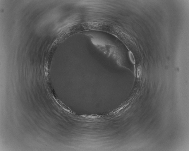 X0000084581011200702231250