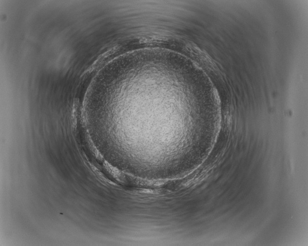 X0000084581012200702231250