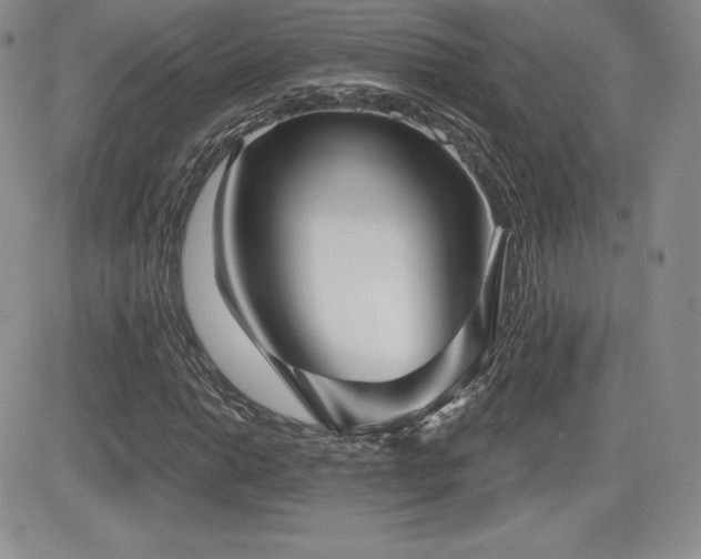 X0000084581014200702231250
