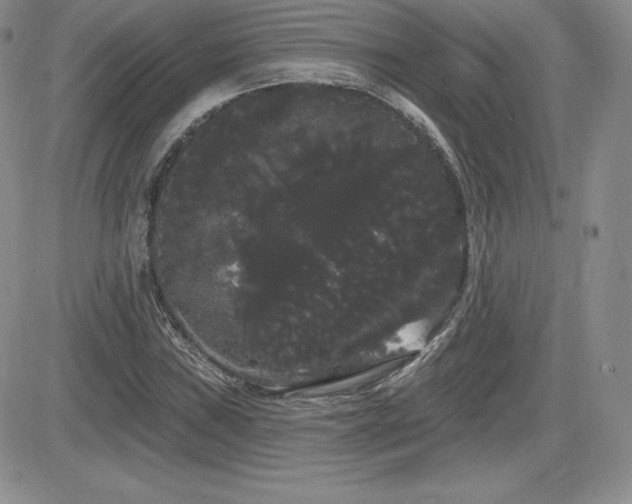 X0000084581019200702231250