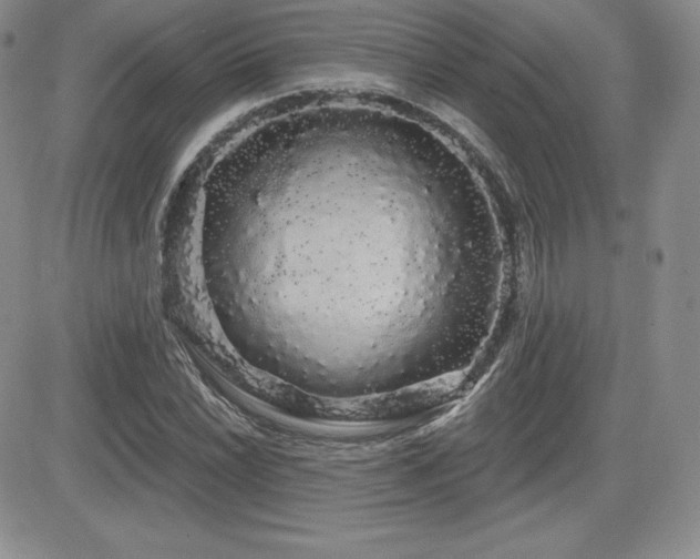 X0000084581022200702231250