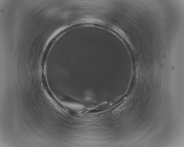 X0000084581024200702231250